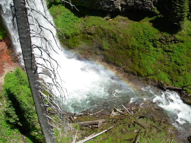 Summer '06 Sunriver 254 